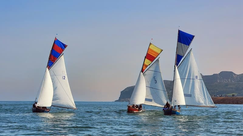 Ireland's Eye Coastal Tour
