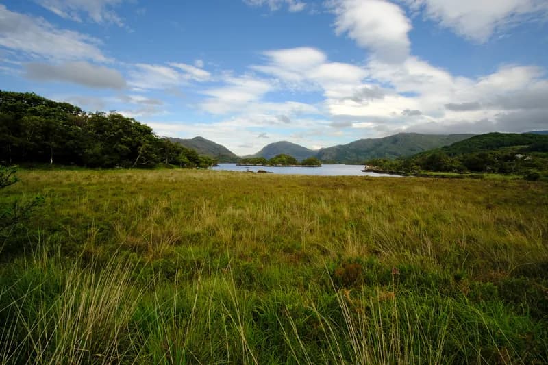 Killarney National Park