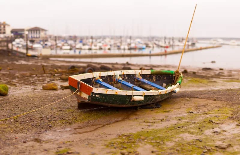 Kayaking and Paddleboarding