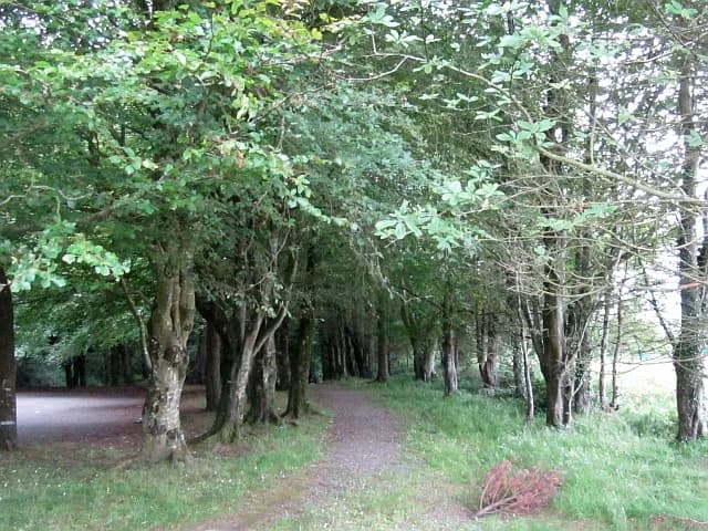 Belleek Woods & Castle