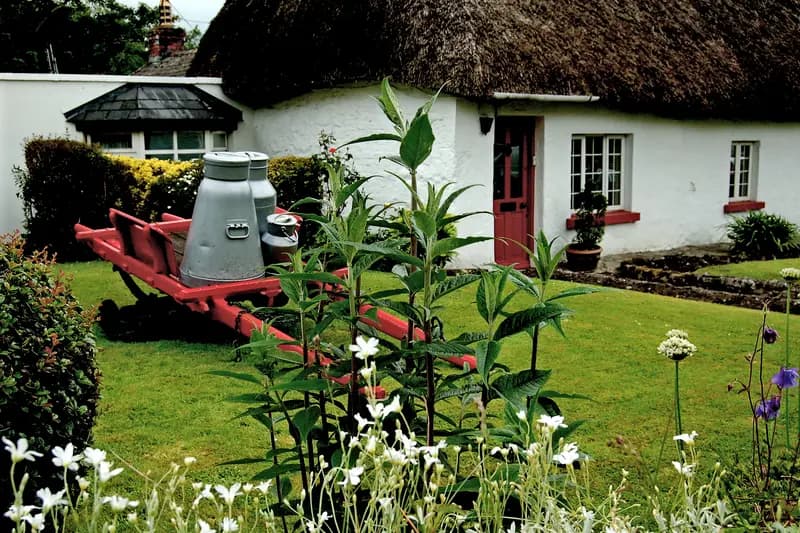 A whitewashed thatched cottage on Adare's Main Street with milk churns on a red cart in its cottage garden