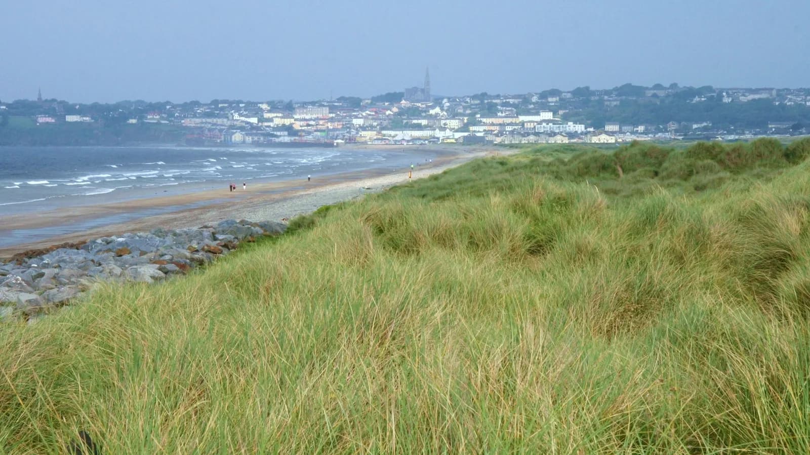 Marram grass on the Tramore dunes with the strand and the town beyond
