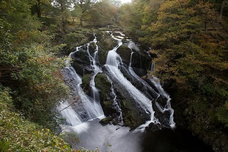 Swallow Falls (Rhaeadr Ewynnol)