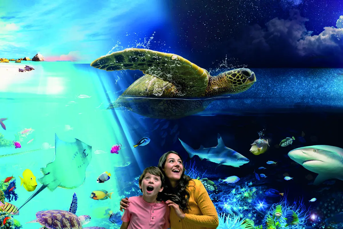 Sea Life Brighton