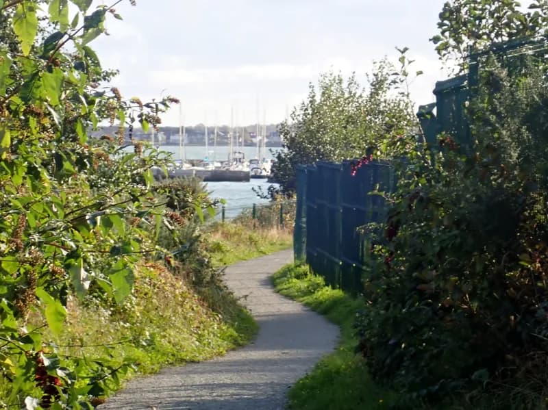 The Carlingford Lough Greenway path running north from Carlingford Marina