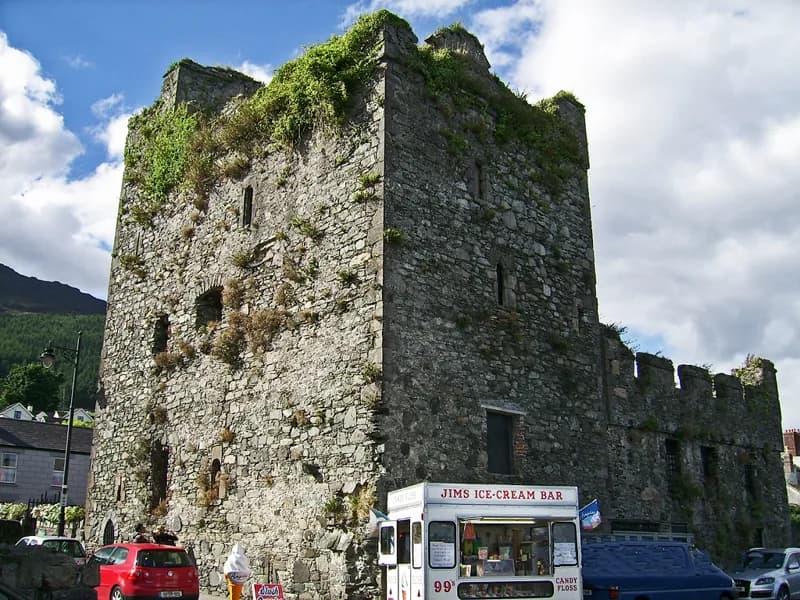 Taaffe's Castle
