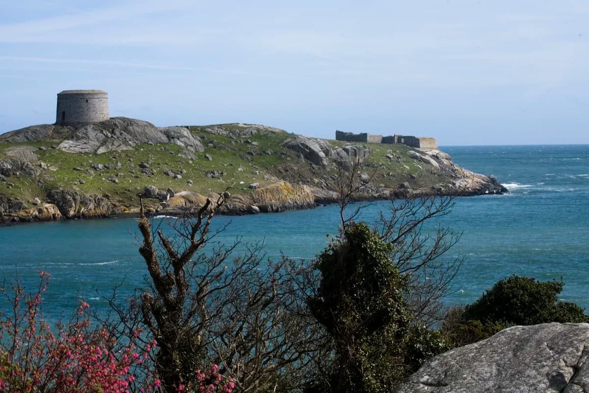 Bulloch Harbour