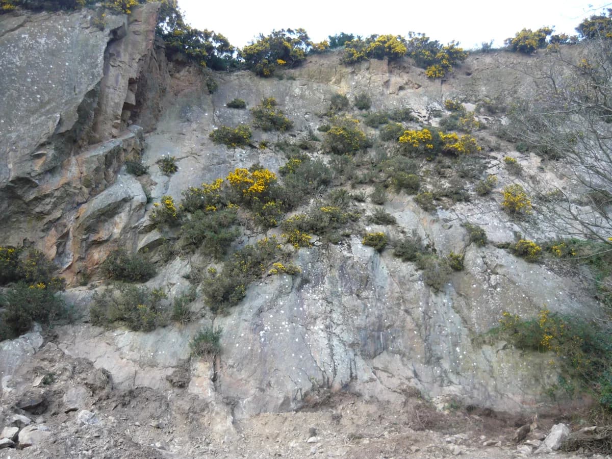 Dalkey Hill & Quarry