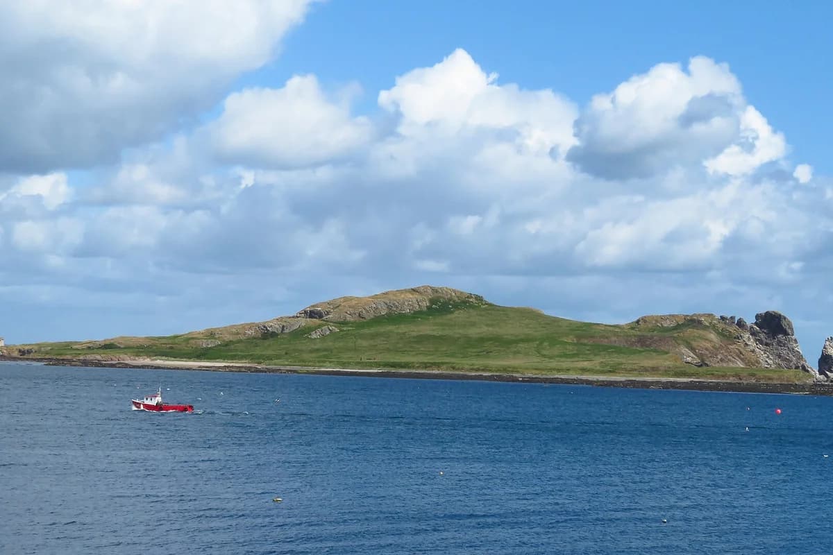 Ireland's Eye Coastal Tour