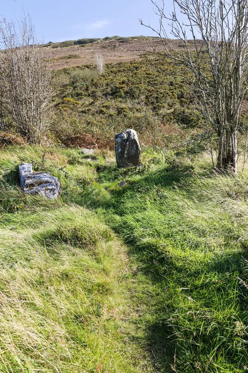 Graves of the Leinstermen, Tountinna