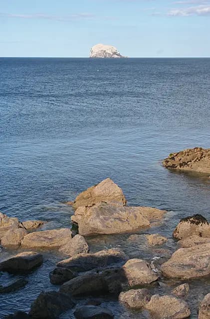 Bass Rock and Island Boat Trips