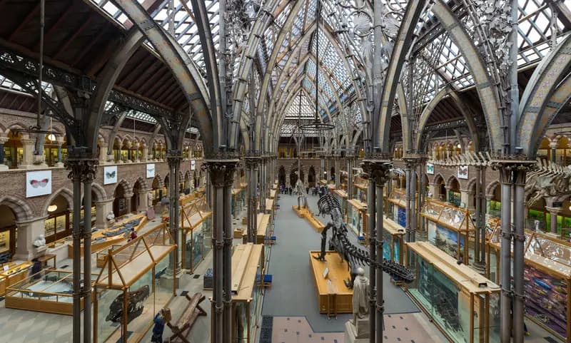 Museum of Natural History & Pitt Rivers Museum