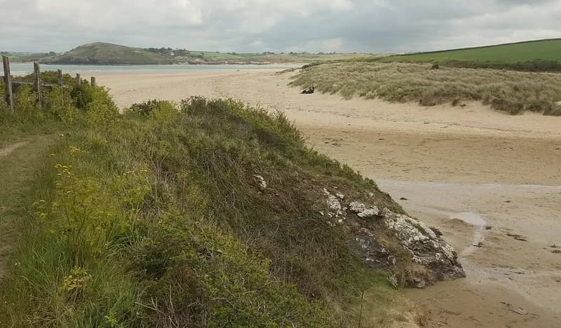Padstow and Stepper Point Walk