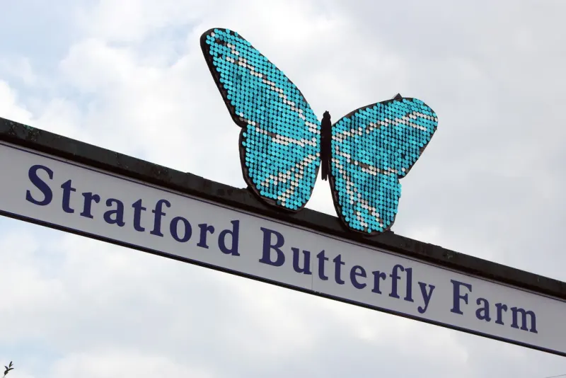 Stratford Butterfly Farm