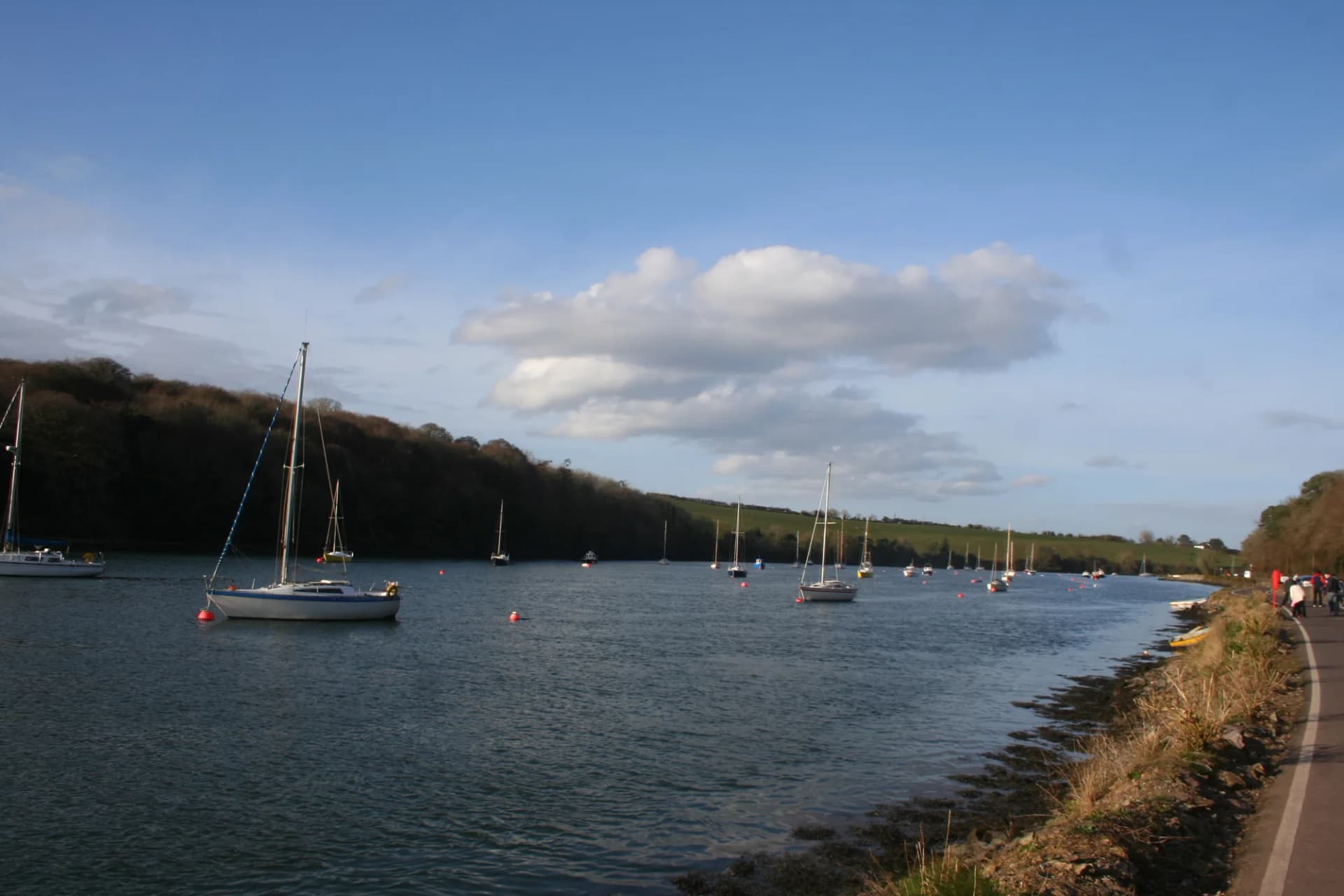 Carrigaline overview