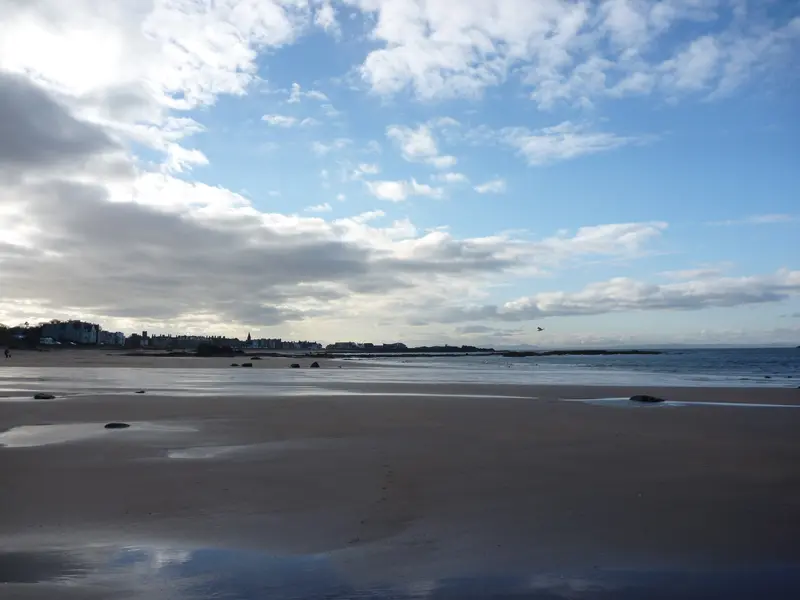 The Beaches