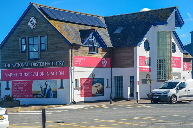 National Lobster Hatchery