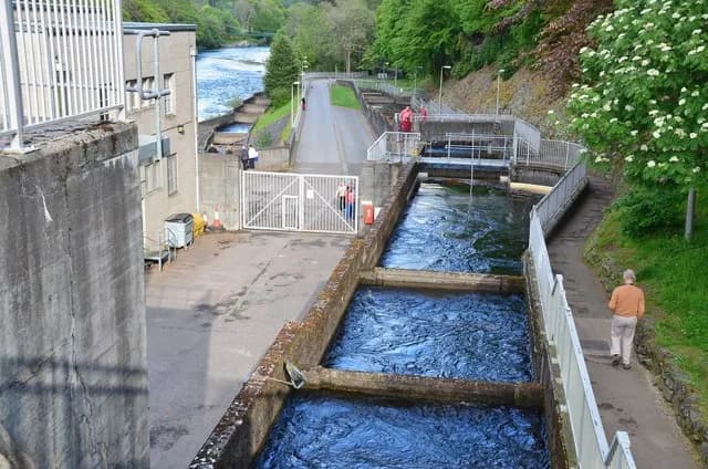 Dam and Salmon Ladder