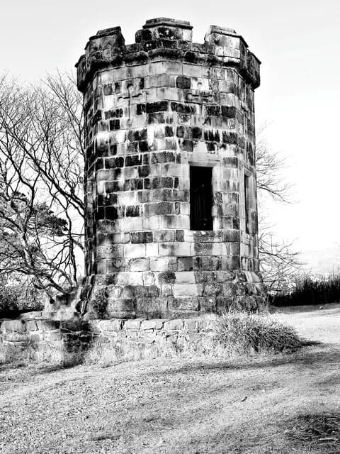 Apothecary's Tower