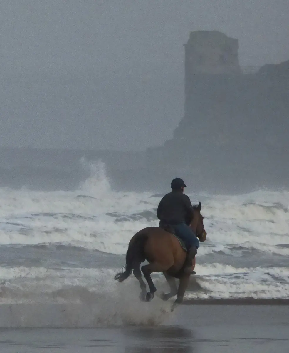 West Sands & the Coast