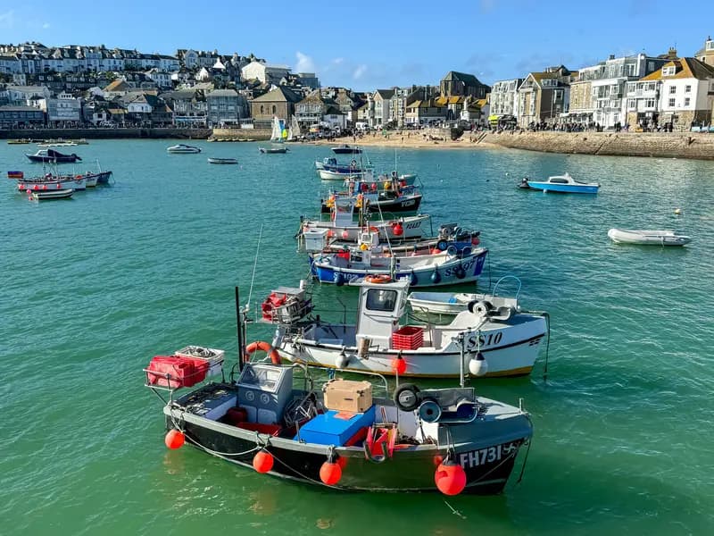 The Harbour & Downalong