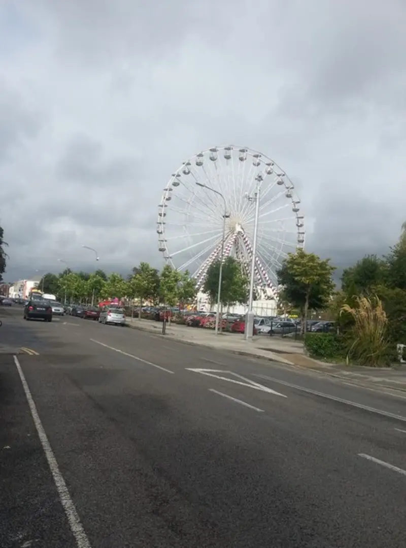 Rose of Tralee Festival