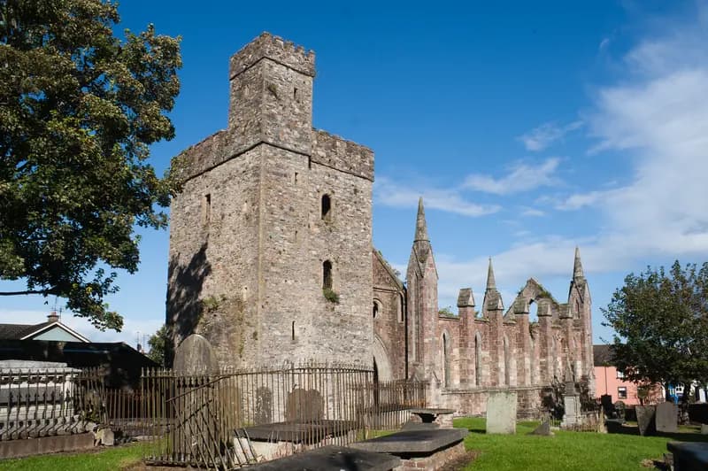 Selskar Abbey & the Viking Trail