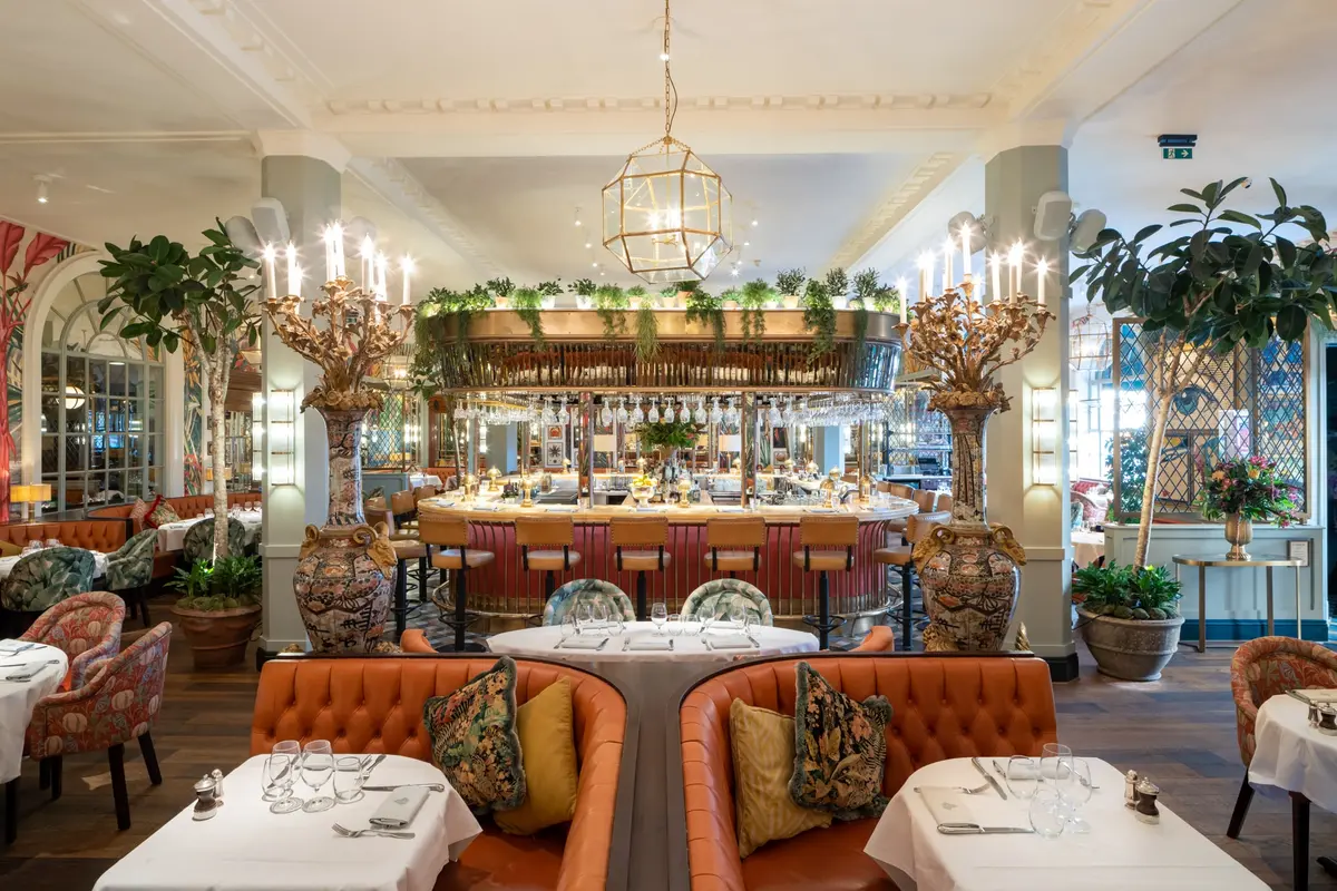 The Ivy in the Lanes