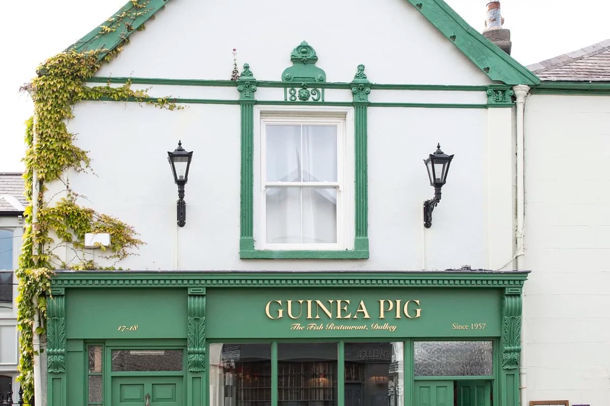 The Guinea Pig